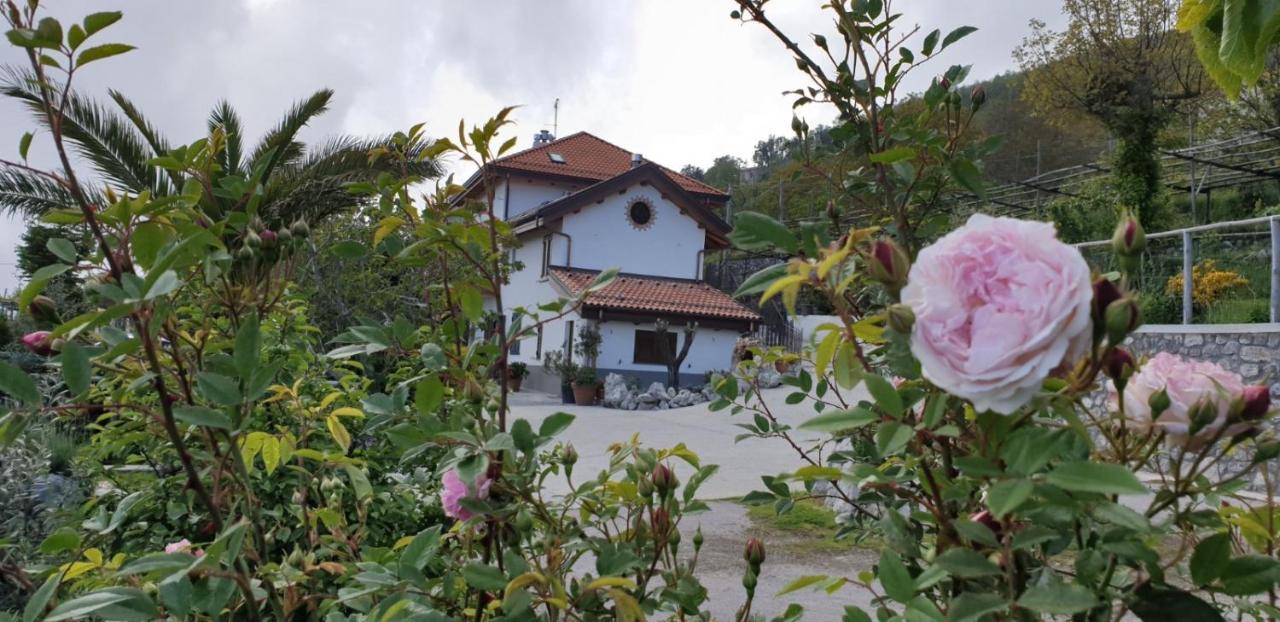 Agriturismo Mare E Monti Agerola Exteriör bild